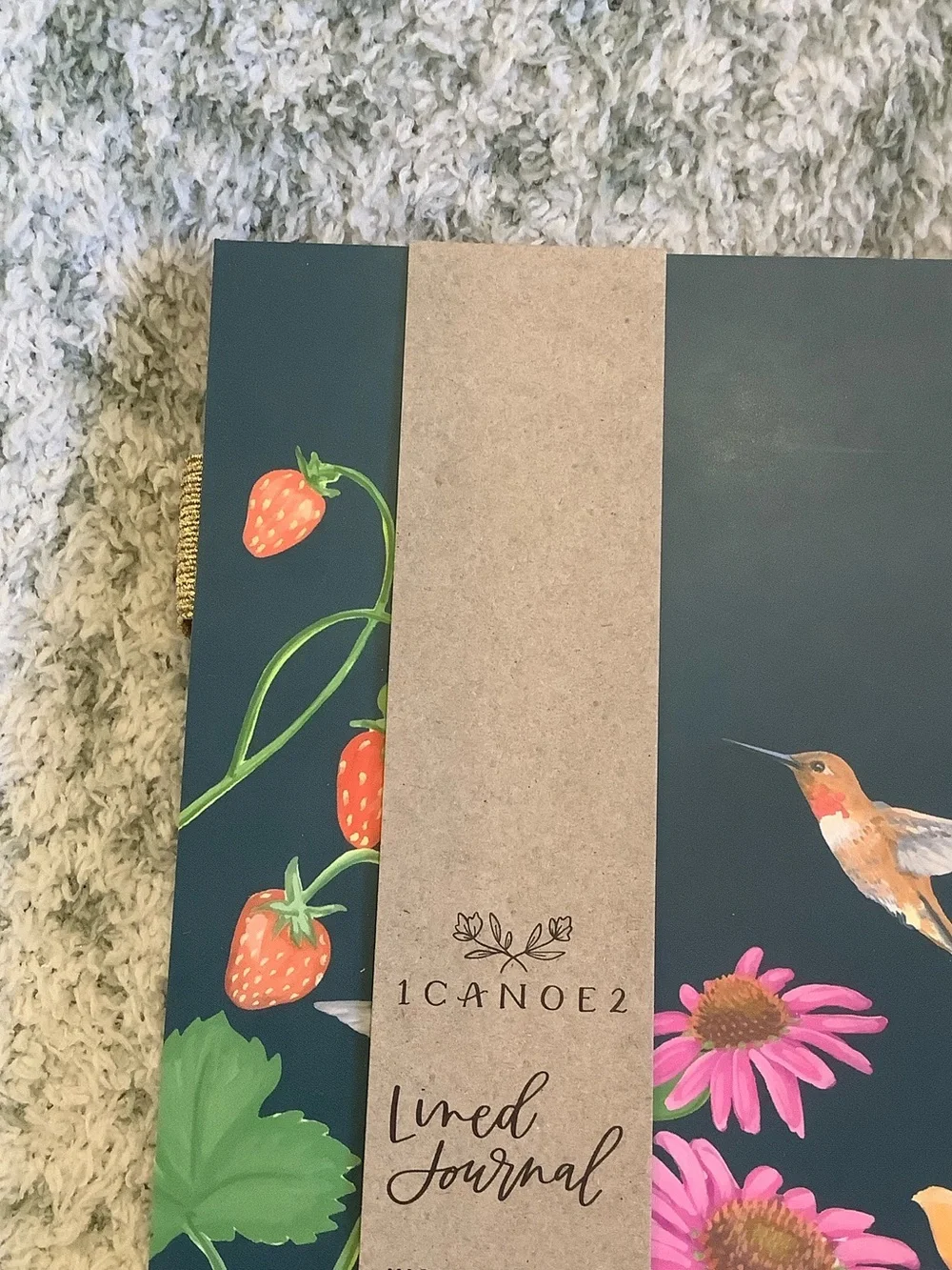 Strawberry Hummingbird Nature Travel Creative Journal Notebook NWT 160 lined pgs